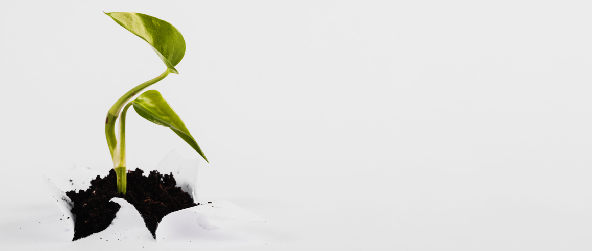 Ad Film & Photoshoot services